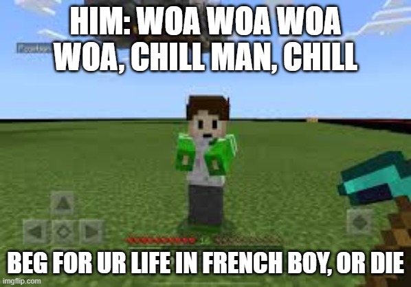Oop, im guessing he dead now | HIM: WOA WOA WOA WOA, CHILL MAN, CHILL; BEG FOR UR LIFE IN FRENCH BOY, OR DIE | image tagged in funny,memes,minecraft | made w/ Imgflip meme maker