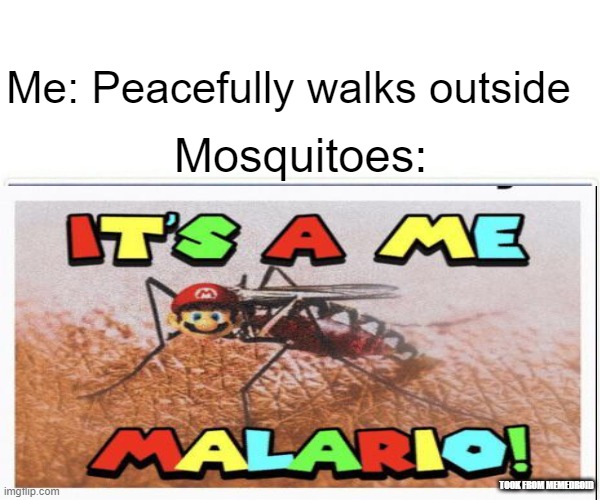 I needed to make a meme with that thing lol. | Me: Peacefully walks outside; Mosquitoes:; TOOK FROM MEMEDROID | image tagged in insects | made w/ Imgflip meme maker