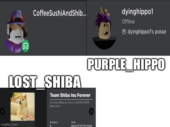 I have their profiles... good | PURPLE_HIPPO; LOST_SHIBA | image tagged in blank white template | made w/ Imgflip meme maker