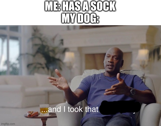 and I took that personally | ME: HAS A SOCK
MY DOG: | image tagged in and i took that personally | made w/ Imgflip meme maker