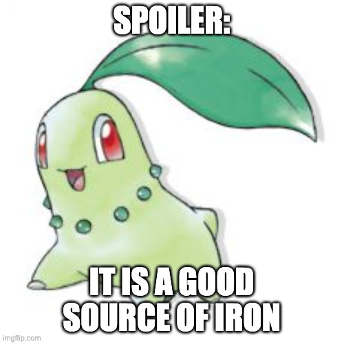 Chikorita | SPOILER: IT IS A GOOD SOURCE OF IRON | image tagged in chikorita | made w/ Imgflip meme maker