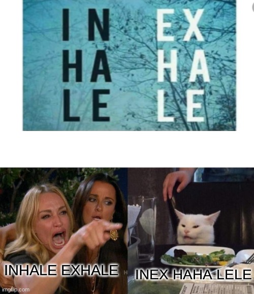 INHALE EXHALE | INHALE EXHALE; INEX HAHA LELE | image tagged in memes,woman yelling at cat | made w/ Imgflip meme maker