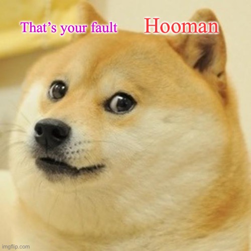 Doge Meme | That’s your fault Hooman | image tagged in memes,doge | made w/ Imgflip meme maker
