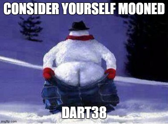 snowman mooning | CONSIDER YOURSELF MOONED; DART38 | image tagged in snowman mooning | made w/ Imgflip meme maker