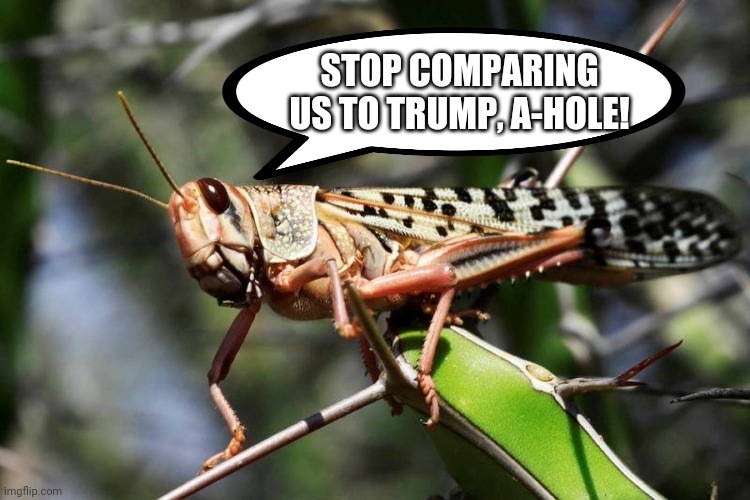 STOP COMPARING US TO TRUMP, A-HOLE! | made w/ Imgflip meme maker