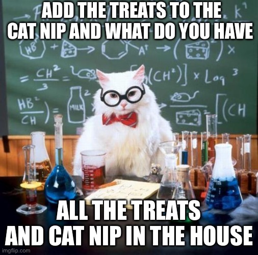 Chemistry Cat | ADD THE TREATS TO THE CAT NIP AND WHAT DO YOU HAVE; ALL THE TREATS AND CAT NIP IN THE HOUSE | image tagged in memes,chemistry cat | made w/ Imgflip meme maker