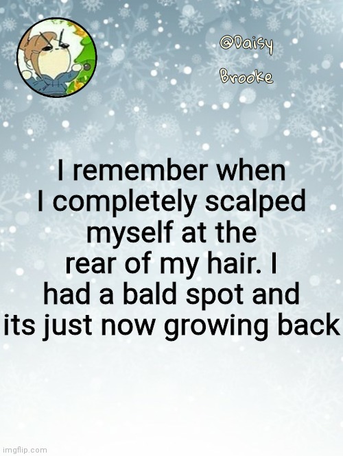 Good memories amirite? LMAO | I remember when I completely scalped myself at the rear of my hair. I had a bald spot and its just now growing back | image tagged in daisy's christmas template | made w/ Imgflip meme maker