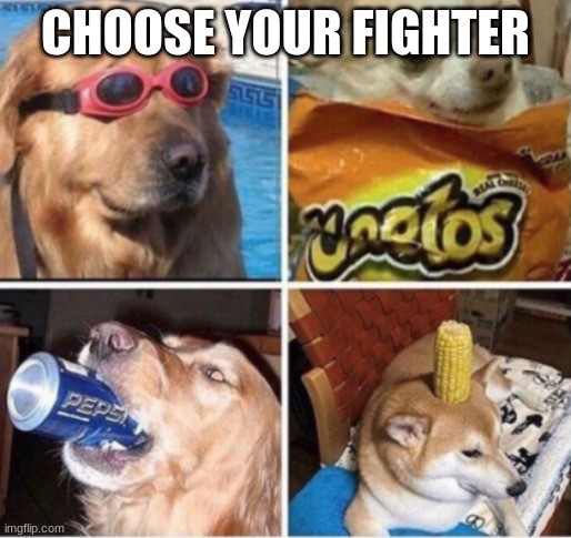 CHOOSE YOUR FIGHTER | image tagged in dog | made w/ Imgflip meme maker