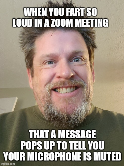 WHEN YOU FART SO LOUD IN A ZOOM MEETING; THAT A MESSAGE POPS UP TO TELL YOU YOUR MICROPHONE IS MUTED | image tagged in funny | made w/ Imgflip meme maker