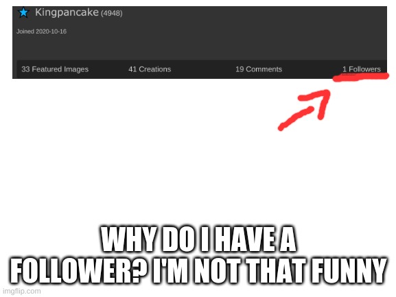 Why is there a follower? | WHY DO I HAVE A FOLLOWER? I'M NOT THAT FUNNY | image tagged in blank white template | made w/ Imgflip meme maker