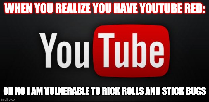youtube | WHEN YOU REALIZE YOU HAVE YOUTUBE RED: OH NO I AM VULNERABLE TO RICK ROLLS AND STICK BUGS | image tagged in youtube | made w/ Imgflip meme maker