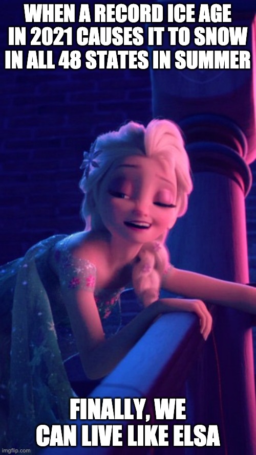 Drunk Elsa | WHEN A RECORD ICE AGE IN 2021 CAUSES IT TO SNOW IN ALL 48 STATES IN SUMMER FINALLY, WE CAN LIVE LIKE ELSA | image tagged in drunk elsa | made w/ Imgflip meme maker