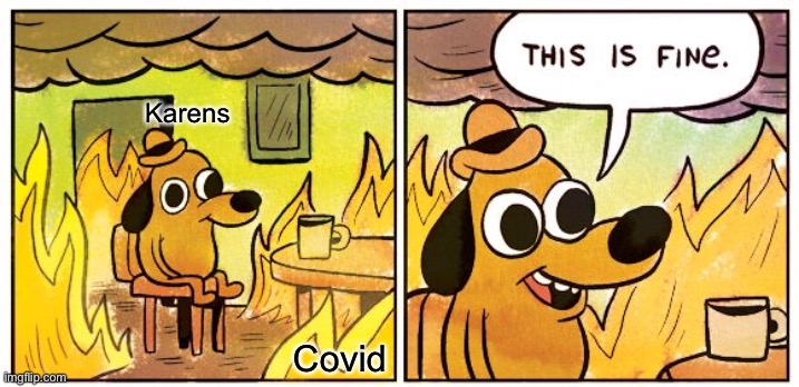 This Is Fine Meme | Karens; Covid | image tagged in memes,this is fine | made w/ Imgflip meme maker