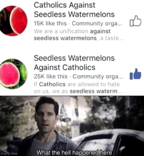 Seedless Watermelons VS Catholics | image tagged in what the hell happened here | made w/ Imgflip meme maker