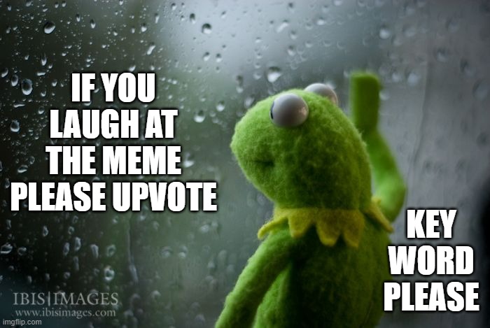 kermit window | IF YOU LAUGH AT THE MEME PLEASE UPVOTE KEY WORD PLEASE | image tagged in kermit window | made w/ Imgflip meme maker