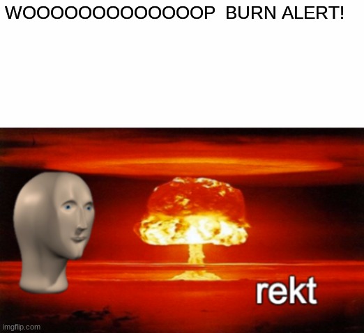 Dat Nasty Burn | WOOOOOOOOOOOOOP  BURN ALERT! | image tagged in rekt w/text,memes | made w/ Imgflip meme maker