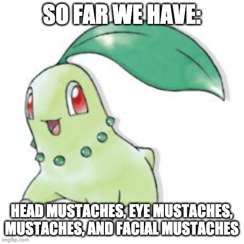 Chikorita | SO FAR WE HAVE: HEAD MUSTACHES, EYE MUSTACHES, MUSTACHES, AND FACIAL MUSTACHES | image tagged in chikorita | made w/ Imgflip meme maker