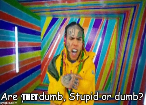Are you dumb stupid or dumb? | THEY | image tagged in are you dumb stupid or dumb | made w/ Imgflip meme maker
