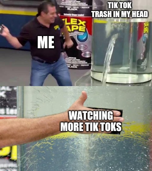 Flex Tape | TIK TOK TRASH IN MY HEAD; ME; WATCHING MORE TIK TOKS | image tagged in flex tape | made w/ Imgflip meme maker