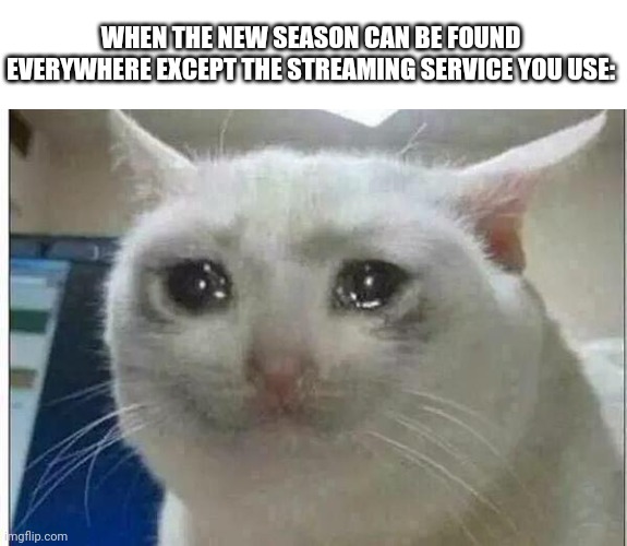 *sits in back waiting for the new mlb seasons to come to netflix* | WHEN THE NEW SEASON CAN BE FOUND EVERYWHERE EXCEPT THE STREAMING SERVICE YOU USE: | image tagged in crying cat | made w/ Imgflip meme maker