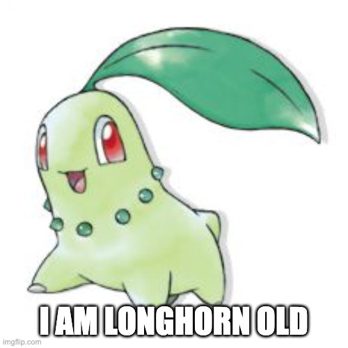 Chikorita | I AM LONGHORN OLD | image tagged in chikorita | made w/ Imgflip meme maker