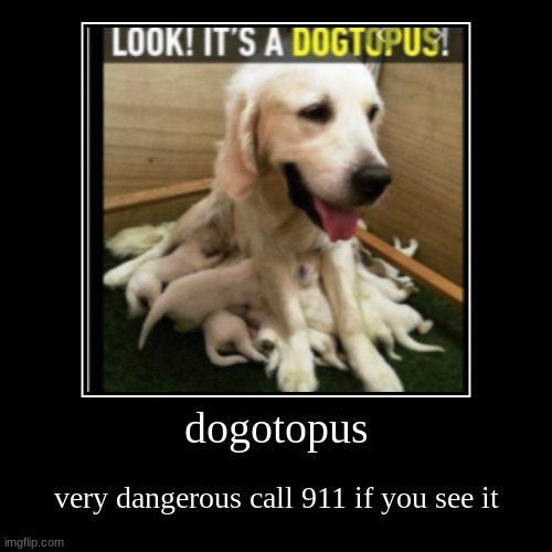 danger | image tagged in dogs | made w/ Imgflip demotivational maker
