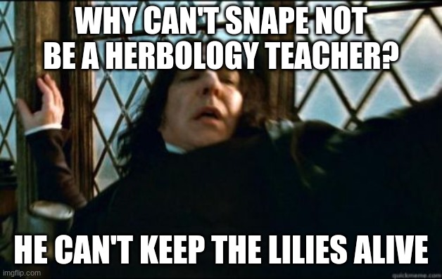 upvote if you love harry potter | WHY CAN'T SNAPE NOT BE A HERBOLOGY TEACHER? HE CAN'T KEEP THE LILIES ALIVE | image tagged in memes,snape | made w/ Imgflip meme maker