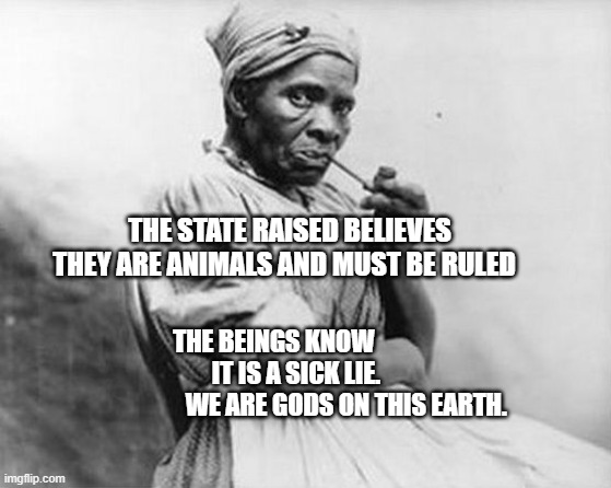 slave lady | THE STATE RAISED BELIEVES THEY ARE ANIMALS AND MUST BE RULED; THE BEINGS KNOW                       IT IS A SICK LIE.                            WE ARE GODS ON THIS EARTH. | image tagged in slave lady | made w/ Imgflip meme maker