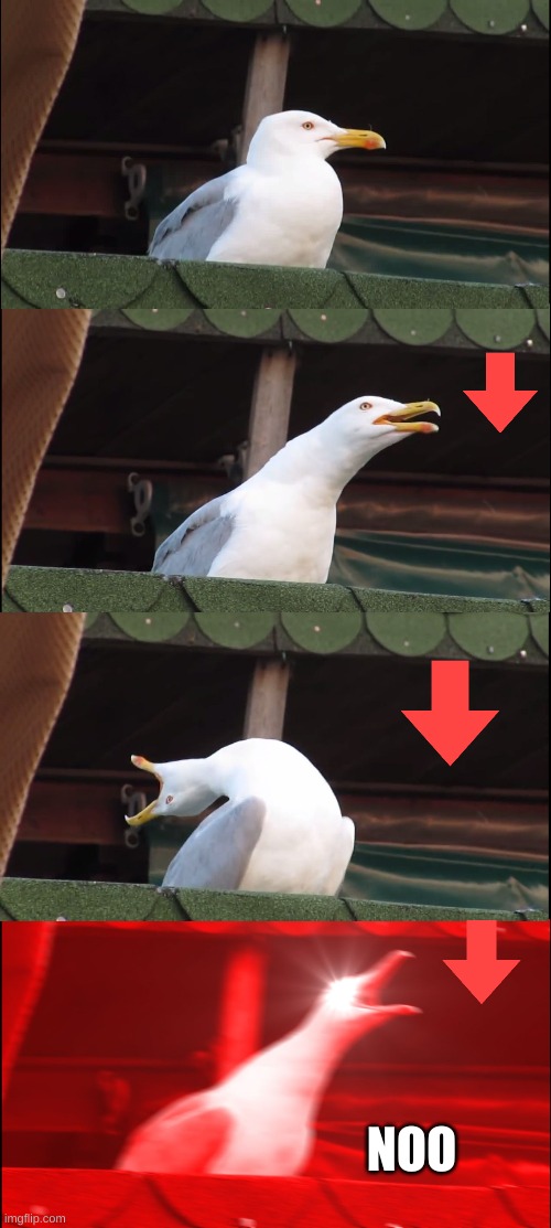 don´t down vote | NOO | image tagged in memes,inhaling seagull | made w/ Imgflip meme maker