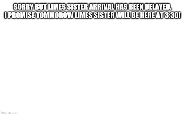 Trust me. | SORRY BUT LIMES SISTER ARRIVAL HAS BEEN DELAYED. I PROMISE TOMMOROW LIMES SISTER WILL BE HERE AT 3:30! | image tagged in white screen,lime the triangle,limes sister | made w/ Imgflip meme maker