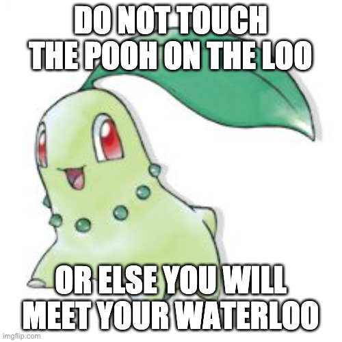 Chikorita | DO NOT TOUCH THE POOH ON THE LOO OR ELSE YOU WILL MEET YOUR WATERLOO | image tagged in chikorita | made w/ Imgflip meme maker