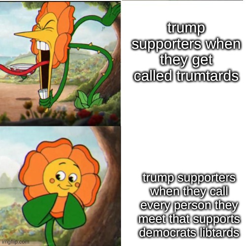 Cuphead Flower | trump supporters when they get called trumtards trump supporters when they call every person they meet that supports democrats libtards | image tagged in cuphead flower | made w/ Imgflip meme maker