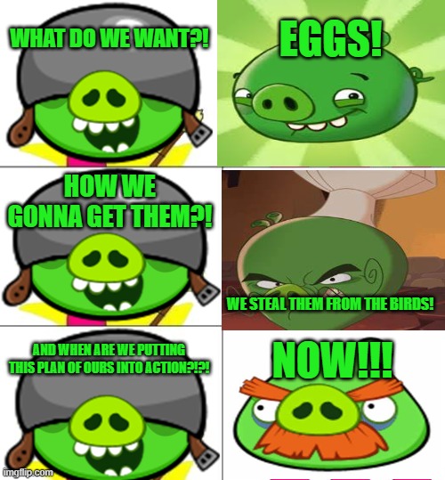What Do We Want 3 | WHAT DO WE WANT?! EGGS! HOW WE GONNA GET THEM?! WE STEAL THEM FROM THE BIRDS! AND WHEN ARE WE PUTTING THIS PLAN OF OURS INTO ACTION?!?! NOW!!! | image tagged in memes,what do we want 3,angry birds,bad piggies | made w/ Imgflip meme maker