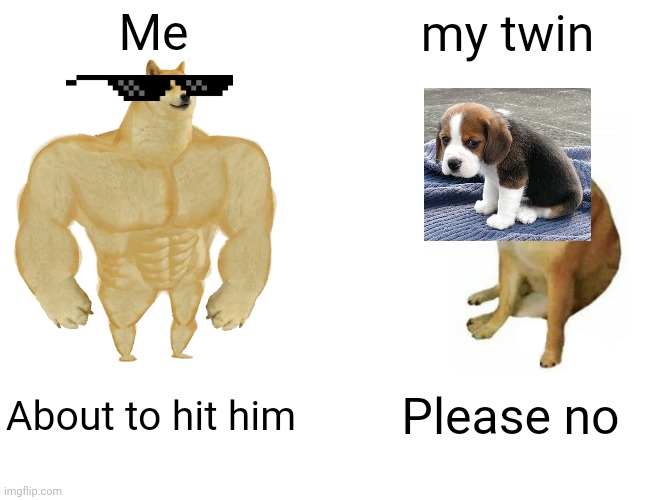 Buff Doge vs. Cheems Meme | Me; my twin; About to hit him; Please no | image tagged in memes,buff doge vs cheems | made w/ Imgflip meme maker