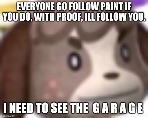 link to his pfp in the comms- | EVERYONE GO FOLLOW PAINT IF YOU DO, WITH PROOF, ILL FOLLOW YOU. I NEED TO SEE THE  G A R A G E | image tagged in digby wtf | made w/ Imgflip meme maker