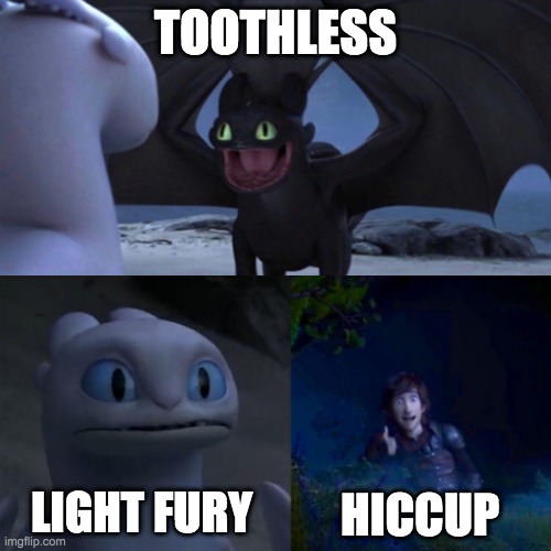 Toothless thumbs up | TOOTHLESS; LIGHT FURY; HICCUP | image tagged in toothless thumbs up | made w/ Imgflip meme maker
