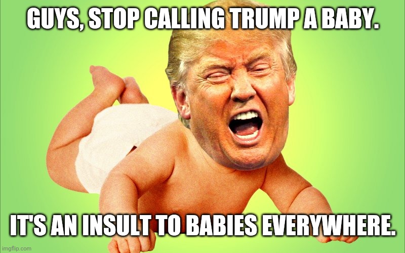 Baby Trump | GUYS, STOP CALLING TRUMP A BABY. IT'S AN INSULT TO BABIES EVERYWHERE. | image tagged in baby trump | made w/ Imgflip meme maker