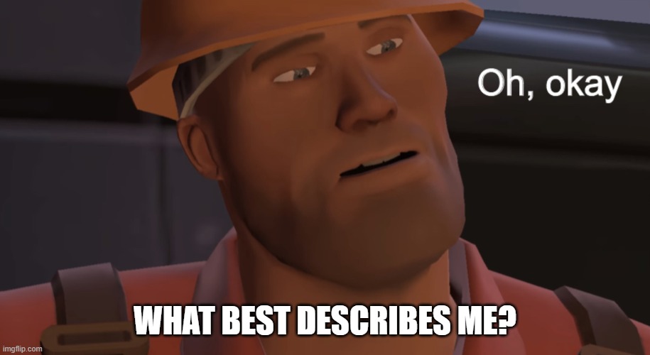Oh, okay | WHAT BEST DESCRIBES ME? | image tagged in oh okay | made w/ Imgflip meme maker