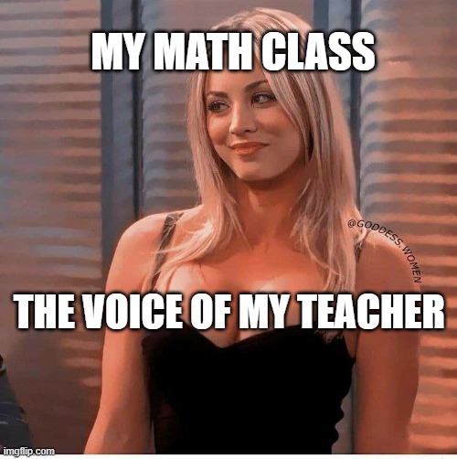 The voice of my teacher speaking | MY MATH CLASS; THE VOICE OF MY TEACHER | image tagged in funny | made w/ Imgflip meme maker