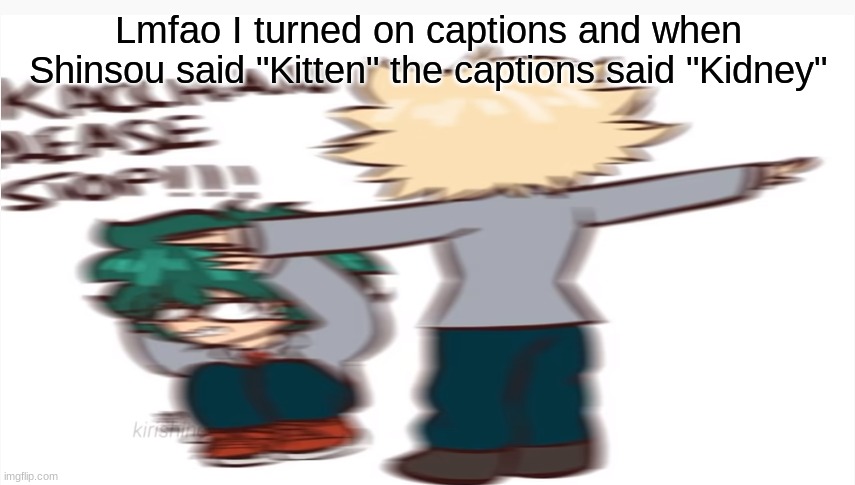 Kacchan please stop | Lmfao I turned on captions and when Shinsou said "Kitten" the captions said "Kidney" | image tagged in kacchan please stop | made w/ Imgflip meme maker