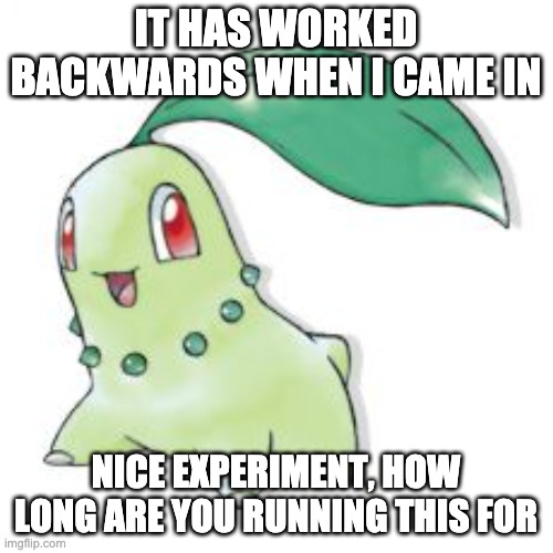 Chikorita | IT HAS WORKED BACKWARDS WHEN I CAME IN NICE EXPERIMENT, HOW LONG ARE YOU RUNNING THIS FOR | image tagged in chikorita | made w/ Imgflip meme maker