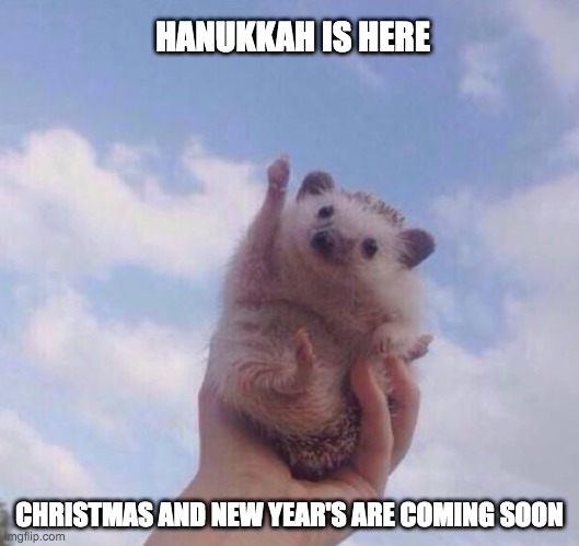 Hedge, hedge, hurray! |  HANUKKAH IS HERE; CHRISTMAS AND NEW YEAR'S ARE COMING SOON | image tagged in cute hedgehog cheer,cute,hedgehog,holidays | made w/ Imgflip meme maker
