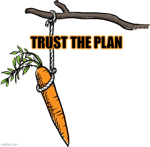 Trust the plan |  TRUST THE PLAN | image tagged in wwg1wga,q,qanon,trump,maga | made w/ Imgflip meme maker