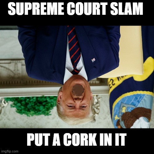 Stop the Stupid | SUPREME COURT SLAM; PUT A CORK IN IT | image tagged in stop the stupid,loser,supreme court,trump is an asshole,no voter fraud,trump is the fraud | made w/ Imgflip meme maker