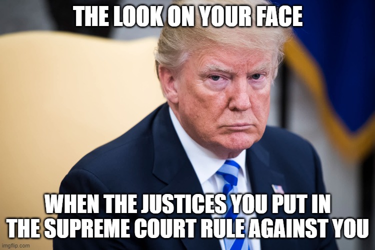 THE LOOK ON YOUR FACE; WHEN THE JUSTICES YOU PUT IN THE SUPREME COURT RULE AGAINST YOU | made w/ Imgflip meme maker