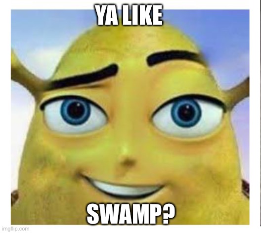 Cursed | YA LIKE; SWAMP? | image tagged in barry b shrekson | made w/ Imgflip meme maker