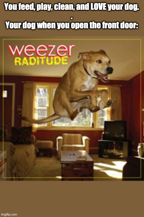 Weezer Raditude Album | You feed, play, clean, and LOVE your dog.
.
Your dog when you open the front door: | image tagged in weezer raditude album | made w/ Imgflip meme maker