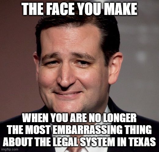 Ted Cruz Embarrassment | THE FACE YOU MAKE; WHEN YOU ARE NO LONGER THE MOST EMBARRASSING THING ABOUT THE LEGAL SYSTEM IN TEXAS | image tagged in ted cruz,embarrassed,lawyers | made w/ Imgflip meme maker