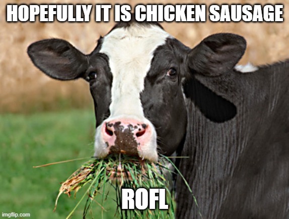 Cow Eat Grass | HOPEFULLY IT IS CHICKEN SAUSAGE ROFL | image tagged in cow eat grass | made w/ Imgflip meme maker