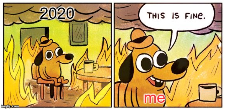 This Is Fine | 2020; me | image tagged in memes,this is fine | made w/ Imgflip meme maker